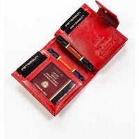 Peterson PTN 42329-DSL (красный) Image #6