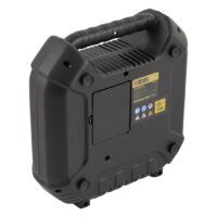 Denzel DL1100 Image #4