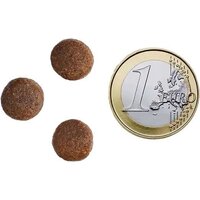 Ambrosia Grain Free (для щенков крупных пород курица и лосось) 12 кг Image #4