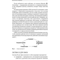 Альпина Диджитал. 5S для офиса. Библиотека Сбербанка (Фабрицио Т., Тэппинг Д.) Image #11