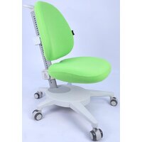 ErgoSmart Gulliver с чехлом (салатовый)