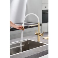 Rose R458G Image #12