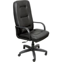 Деловая обстановка Пилот Стандарт (кожа черный) Image #1