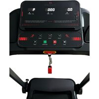 Calviano Harvi (черный) Image #5