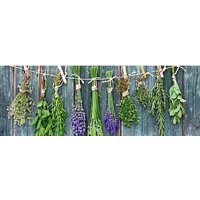 Orlix Сушеные пучки трав GL-00882 30x80 см