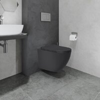 Lauter Augsburg 21109EC + 21901002 (кнопка узкая, черный) Image #15