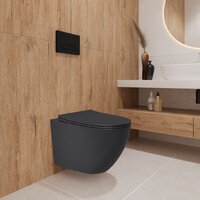 Lauter Augsburg 21109EC + 21901002 (кнопка узкая, черный) Image #13