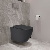 Lauter Augsburg 21109EC + 21901002 (кнопка узкая, черный) Image #12