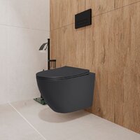 Lauter Augsburg 21109EC + 21901002 (кнопка узкая, черный) Image #14