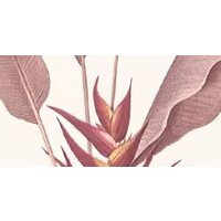 ФабрикаФресок Тропические пальмовые листья 273270 (300x270) Image #2