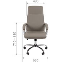 CHAIRMAN CH425 (экокожа, серый) Image #4