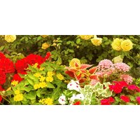 ФабрикаФресок Фреска Солнечная улочка с аркой 853270 (300x270) Image #3