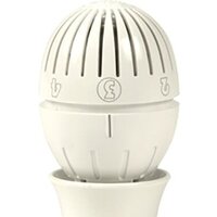 Giacomini R470X001 (с датчиком)