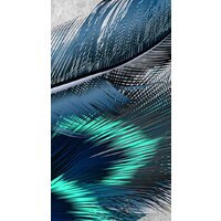 ФабрикаФресок Стильные перья павлина 784270 (400x270) Image #2