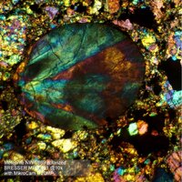 Bresser Science MPO-401 62570 Image #6