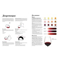 КоЛибри. Wine Folly. Издание Магнум, детализированное (Мадлен Пакетт; Джастин Хэммек) Image #4