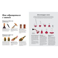 КоЛибри. Wine Folly. Издание Магнум, детализированное (Мадлен Пакетт; Джастин Хэммек) Image #7