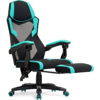 Woodville Brun 15400 (tiffany/black)