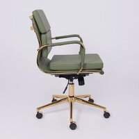 AksHome Indigo LB (зеленый/золотой) Image #4