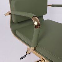 AksHome Indigo LB (зеленый/золотой) Image #12