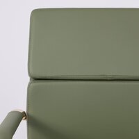 AksHome Indigo LB (зеленый/золотой) Image #9