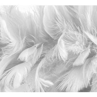 ФабрикаФресок Серые перья 153280 (300x280)