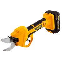 Denzel CP-30 (с 1-им АКБ)