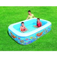 Bestway 54120 (229x152x56) Image #2