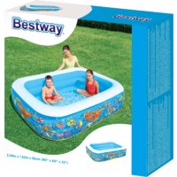 Bestway 54120 (229x152x56) Image #3