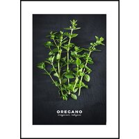 Orlix Орегано OB-14442