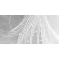 ФабрикаФресок Серые перья 154280 (400x280) Image #4