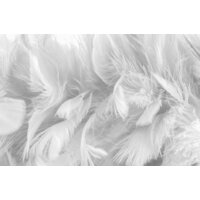 ФабрикаФресок Серые перья 154280 (400x280)