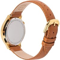 Луч 78307249 Image #2