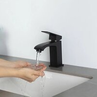 FRAP F1076-6 Image #14