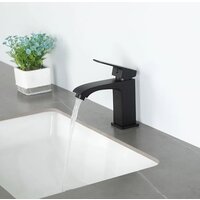 FRAP F1076-6 Image #12