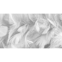 ФабрикаФресок Серые перья 155280 (500x280)