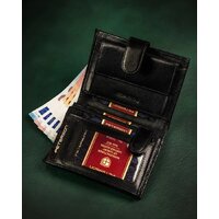 Peterson PTN 348Z-P (черный) Image #3