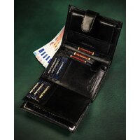 Peterson PTN 348Z-P (черный) Image #5