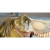 ФабрикаФресок Детские Динозавры 384270 (400x270) Image #4