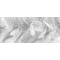 ФабрикаФресок Серые перья 156280 (600x280)