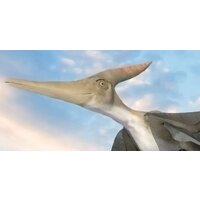 ФабрикаФресок Детские Динозавры 383270 (300x270) Image #1