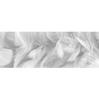 ФабрикаФресок Серые перья 157280 (700x280)