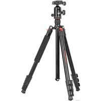 Falcon Eyes R-Line 1016 BHP