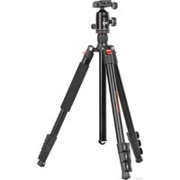 Falcon Eyes R-Line 1016 BHP Image #4