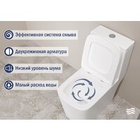Lauter W09 P-TRAP с жестким сиденьем и микролифтом 21900002 (горизонтальный выпуск) Image #5