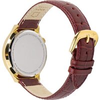 Луч 78307253 Image #2