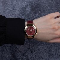 Луч 78307253 Image #5