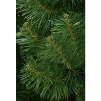 Erbis Сибирская 2.2 м Image #2