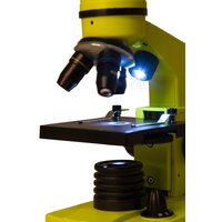 Levenhuk Rainbow 2L (лайм) 69038 Image #10