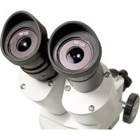 Levenhuk 3ST бинокулярный 35323 Image #3